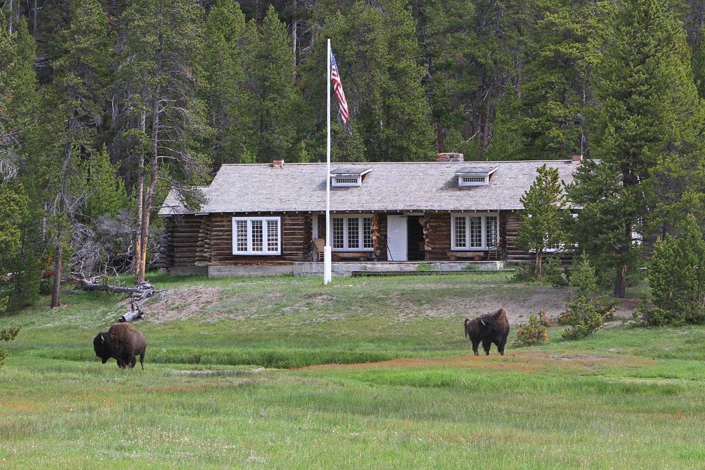 Museum of the National Park Ranger backWildlife frequent the meadows near the Museum of the National Park Ranger.