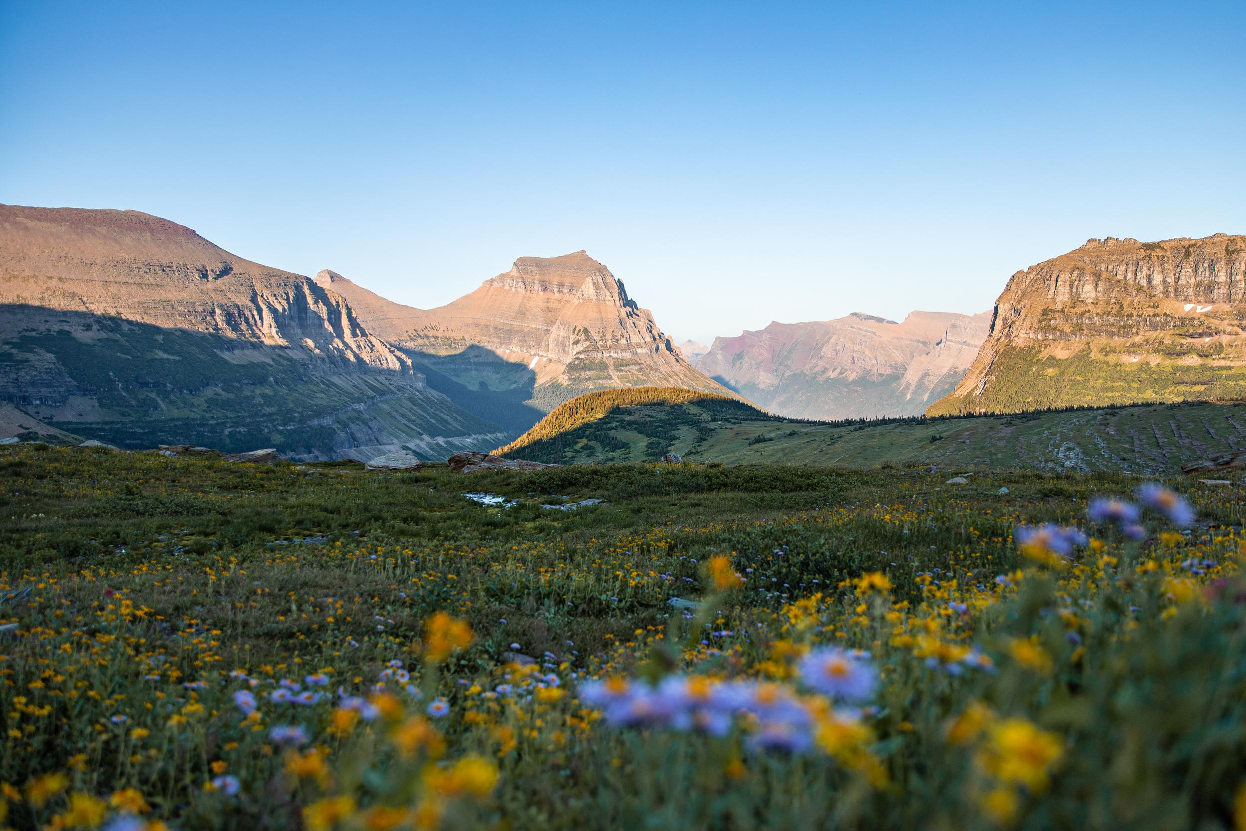 Logan Pass at Sunset