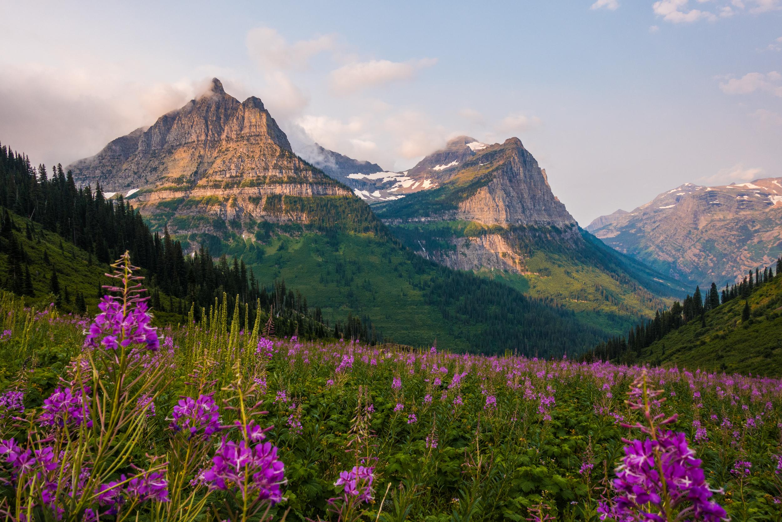 Going-to-the-Sun Road Morning