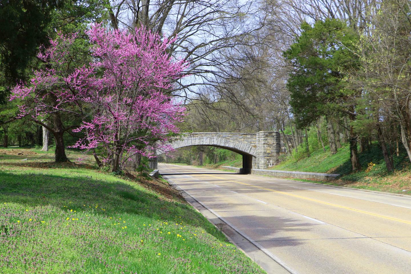 Preview photo of George Washington Memorial Parkway
