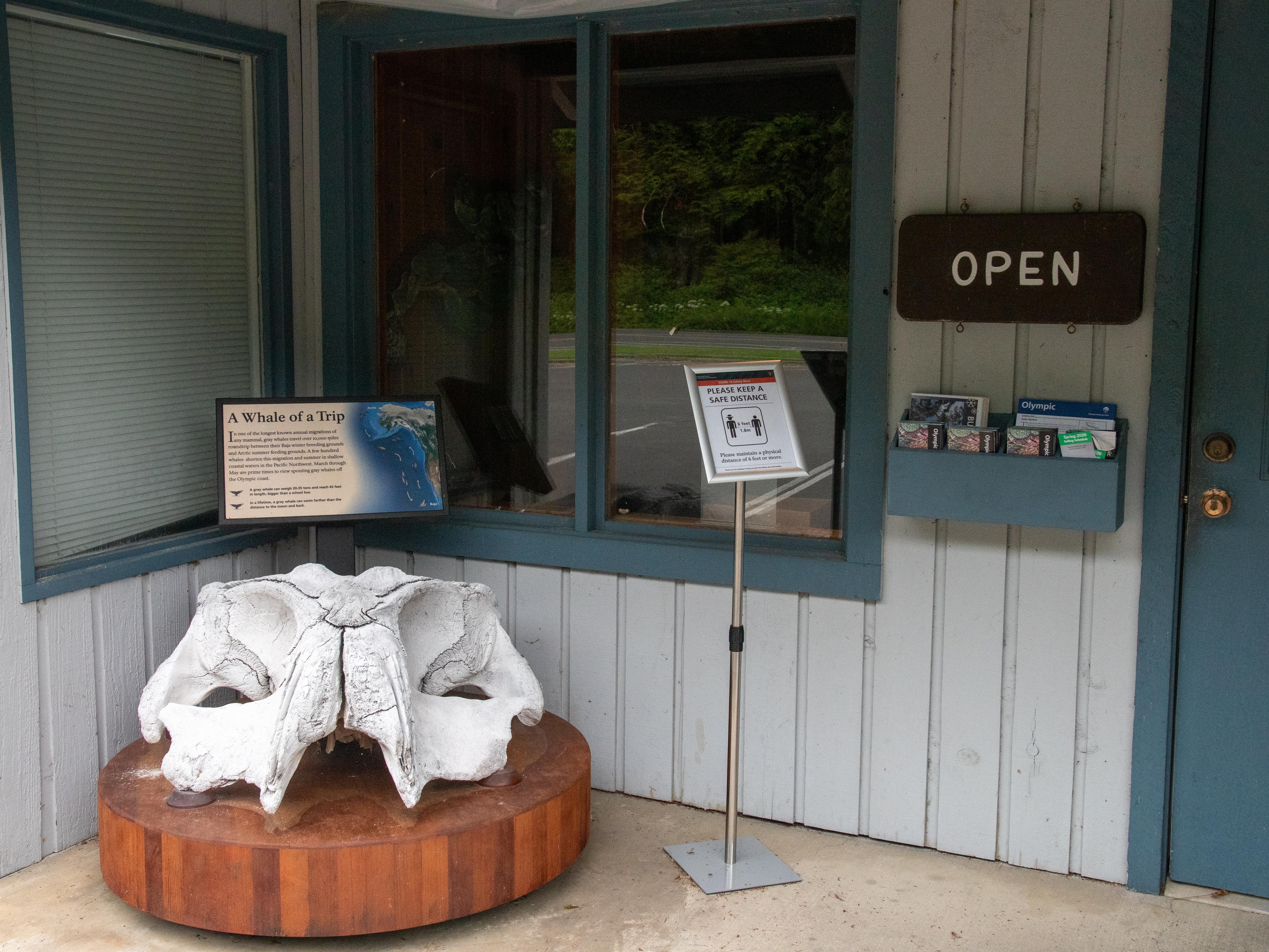 Kalaloch Ranger Station whale skull