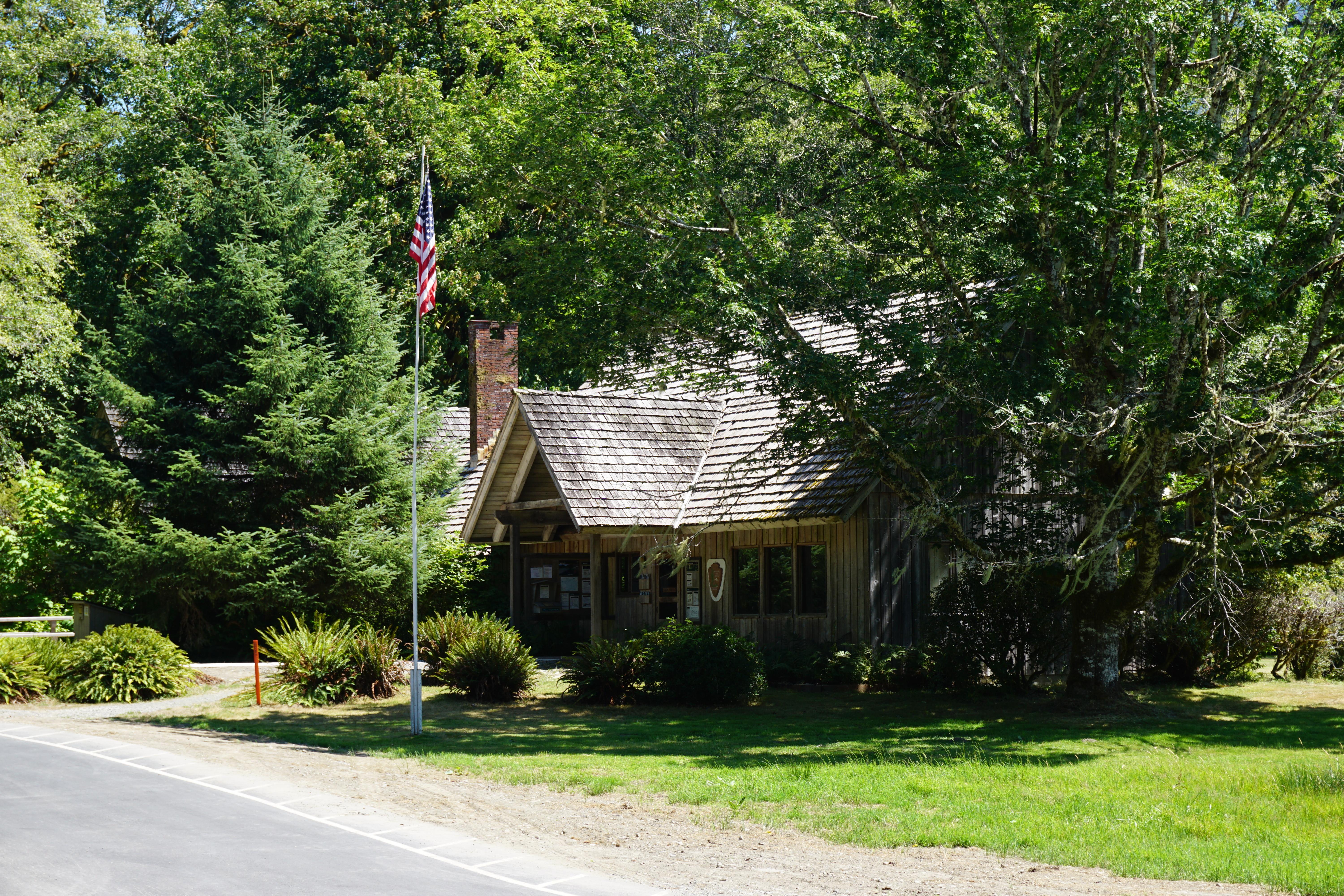Cover image for Quinault Rain Forest Ranger Station