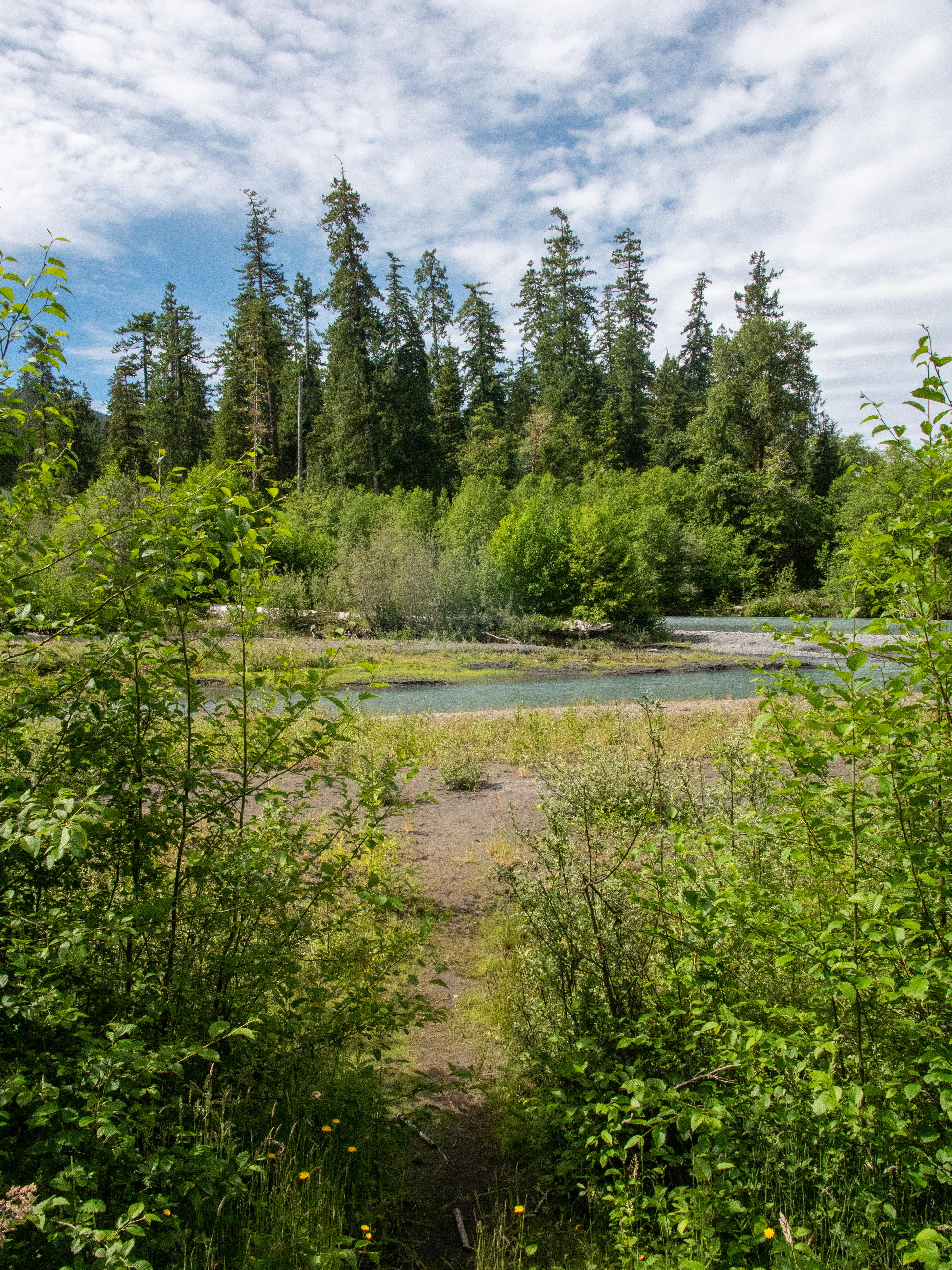 Hoh Rainforest Campground