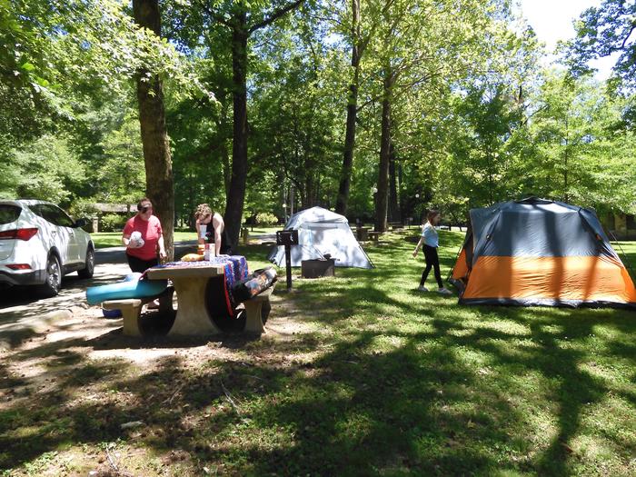 Tent CampingThere are opportunities for tent camping at Gulpha Gorge.