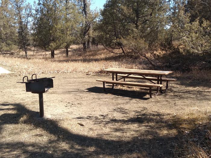 Walk-in to picnic table and grillCottonwood Site 3