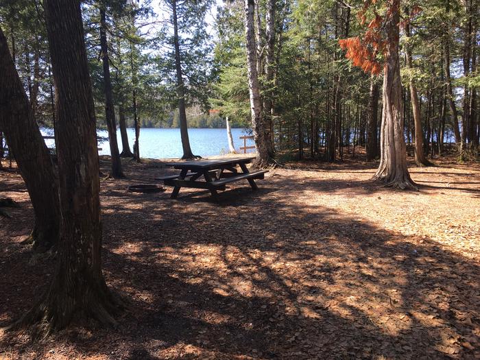 Campsite at Ninemile Campground. There is a picnic table in the shade of several trees and a lake in the background.Lake site at Ninemile Lake Campground