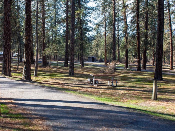 Fort Spokane Campsites with trees in the background