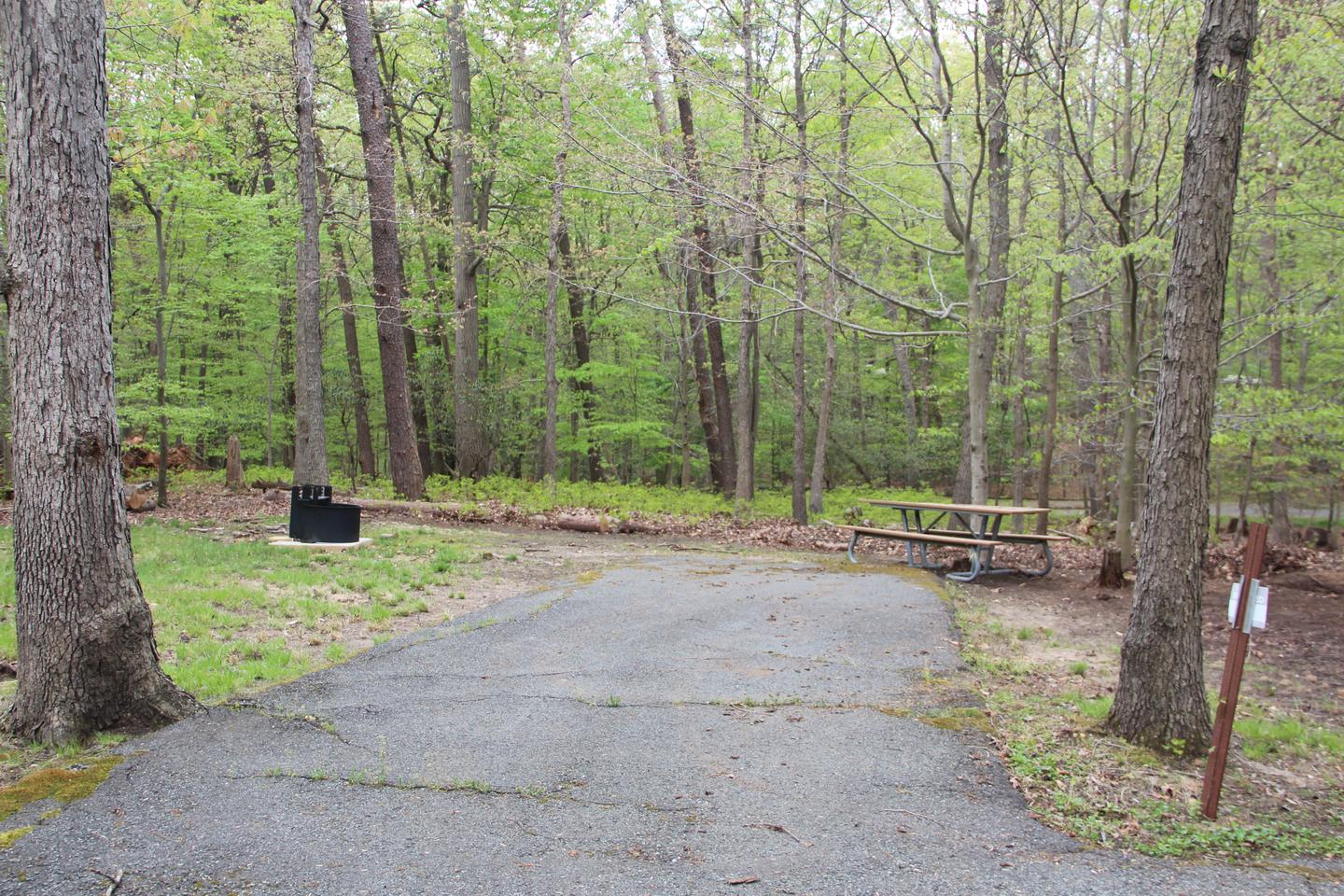 C 84  C loop of the Greenbelt Park Maryland Campground (former Site 86)