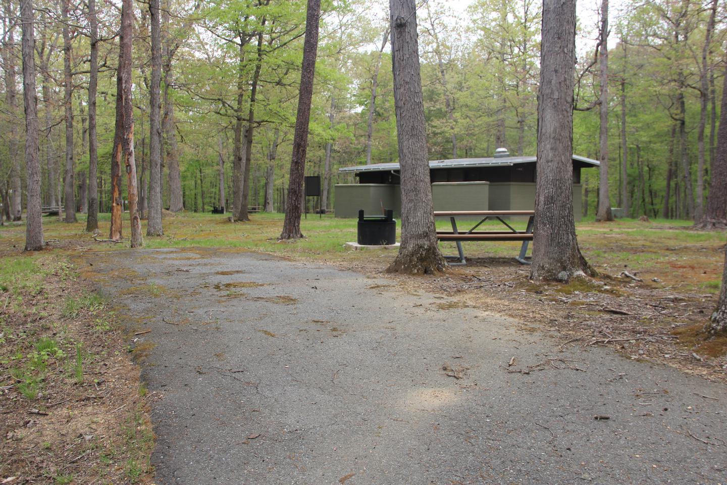 C 83 Greenbelt Park Maryland CampgroundC 83 Greenbelt Park Maryland Campground (former Site 85)