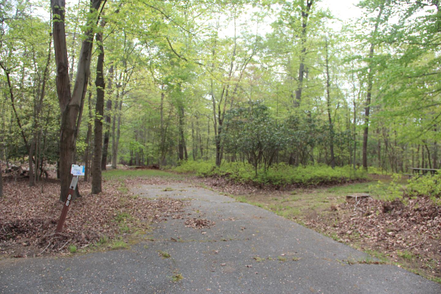 Asphalt pad for vehicle on C86 C Loop of the Greenbelt Park Maryland campground