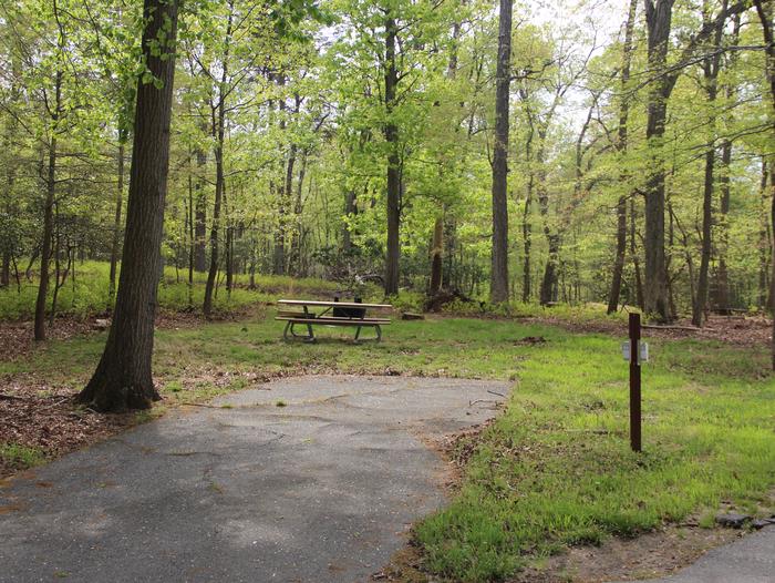 C89 C Loop of the Greenbelt Park Maryland campground