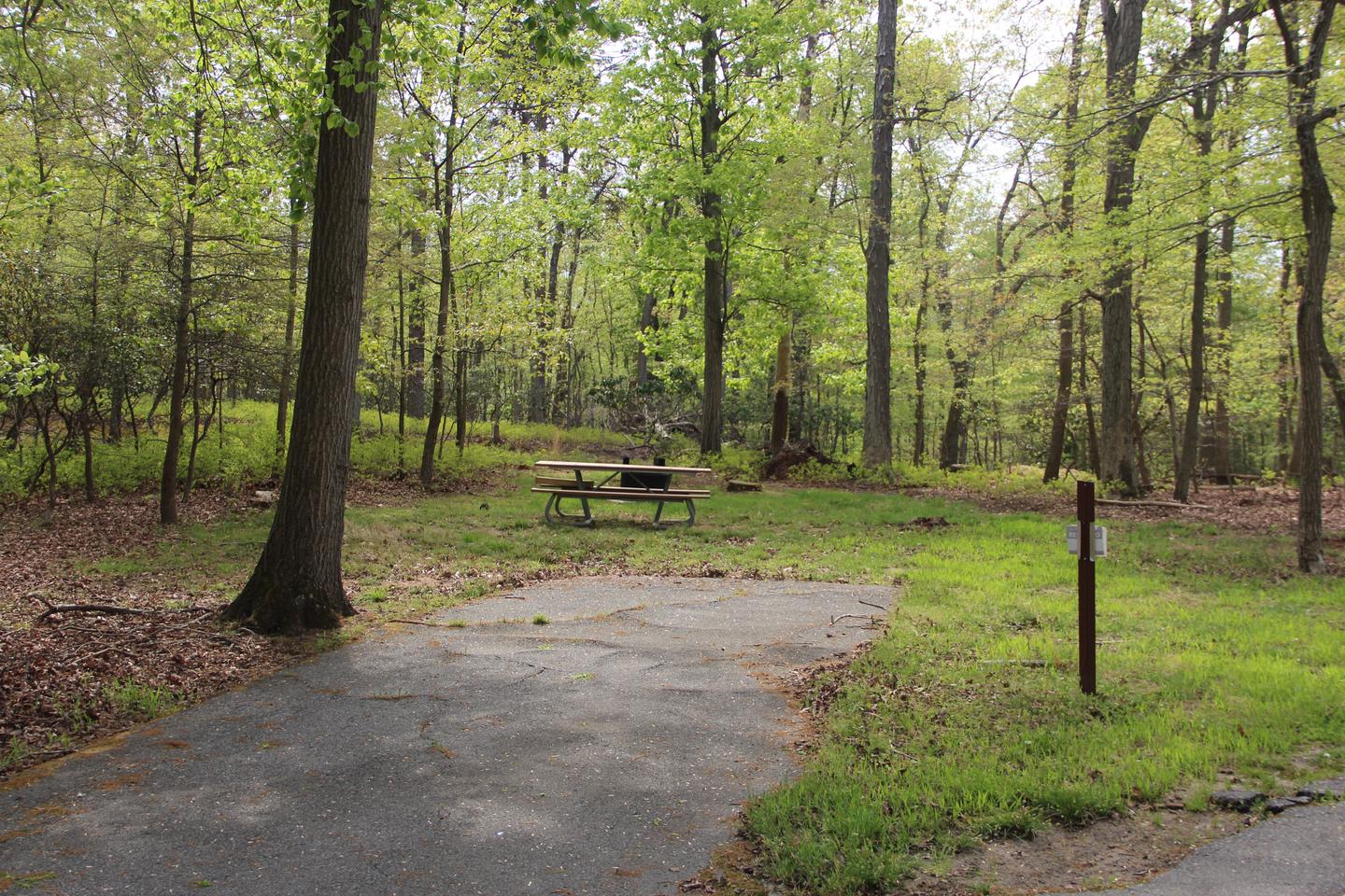 C89 C Loop of the Greenbelt Park Maryland campground