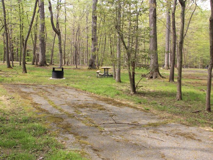 C90 C Loop of the Greenbelt Park Maryland campground