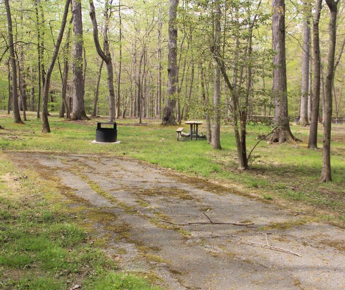 C90 C Loop of the Greenbelt Park Maryland campground