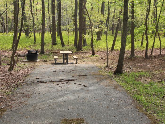 C91 C Loop of the Greenbelt Park Maryland campground
