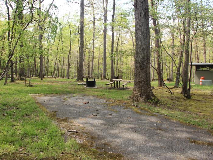 C92 C Loop of the Greenbelt Park Maryland campground