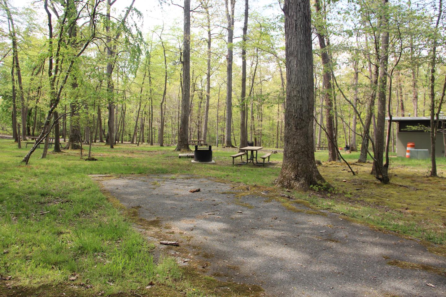 C92 C Loop of the Greenbelt Park Maryland campground