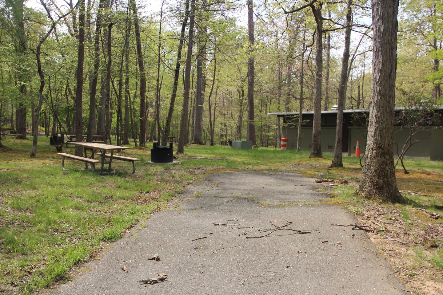 C94 C Loop of the Greenbelt Park Maryland campground