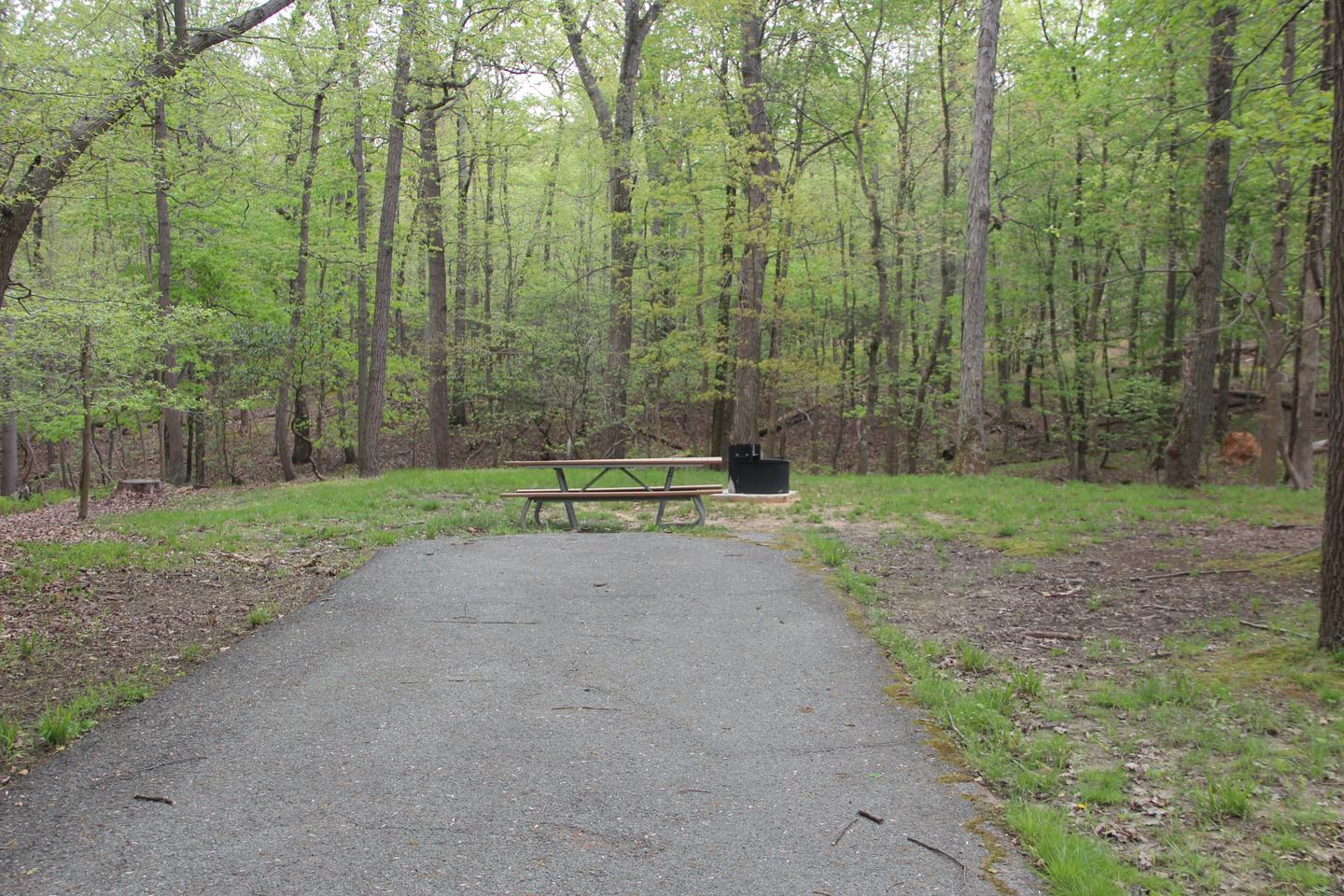 C97 C Loop of the Greenbelt Park Maryland campground