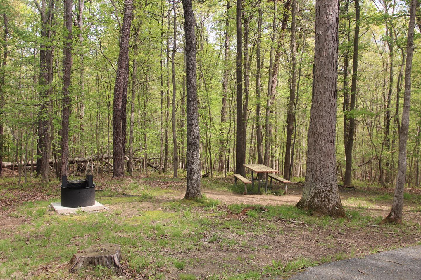 C98 C Loop of the Greenbelt Park Maryland campground