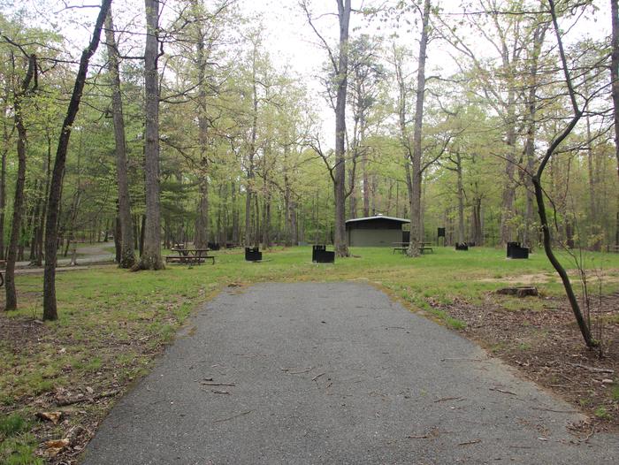 C99 C Loop of the Greenbelt Park Maryland campground