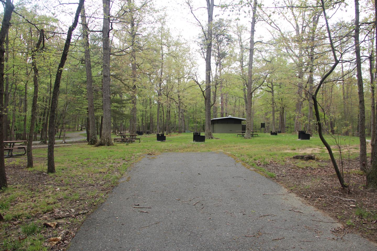 C99 C Loop of the Greenbelt Park Maryland campground