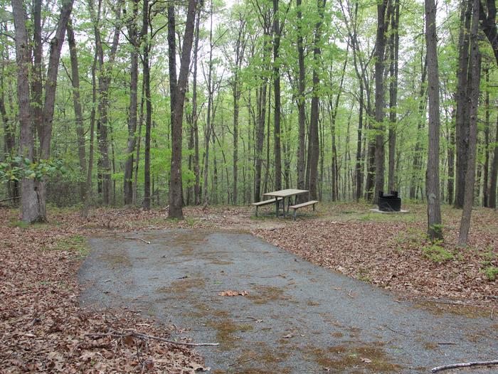 C102 C Loop of the Greenbelt Park Maryland campground