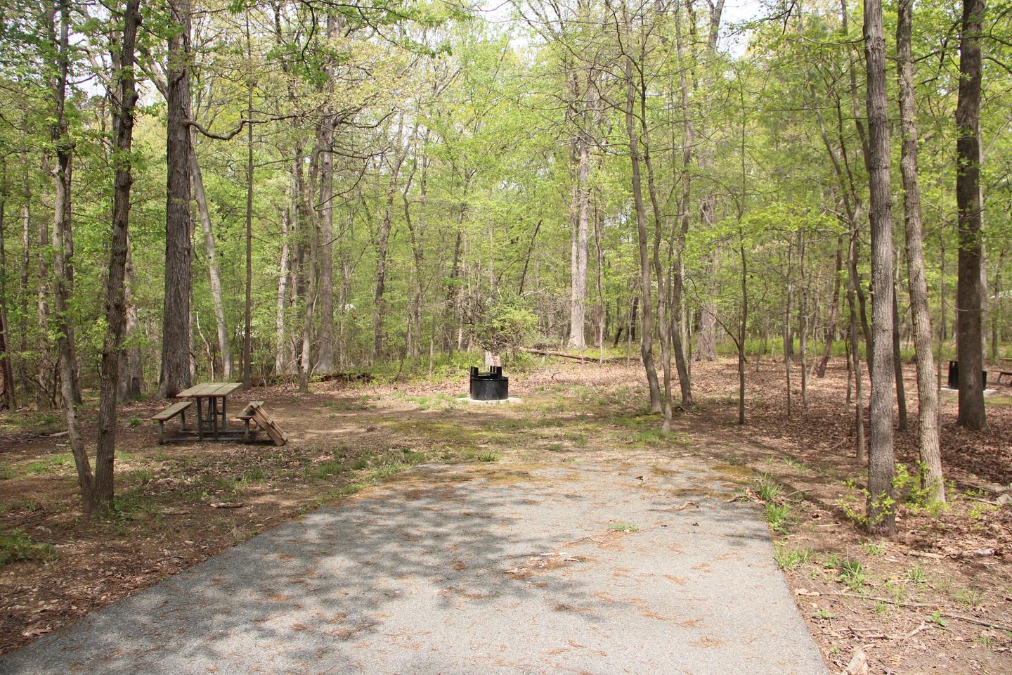 C103 C Loop of the Greenbelt Park Maryland campground