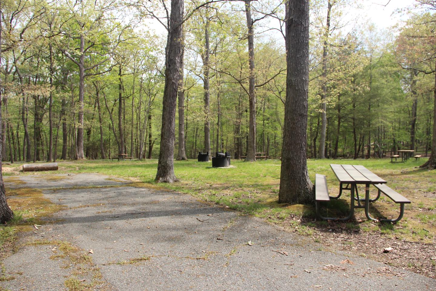 C104 C Loop of the Greenbelt Park Maryland campground