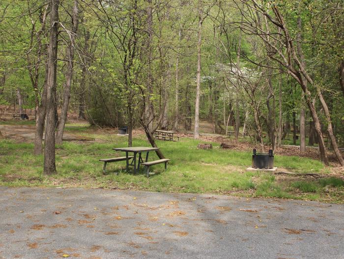 D 108  D Loop of the Greenbelt Park Maryland campground