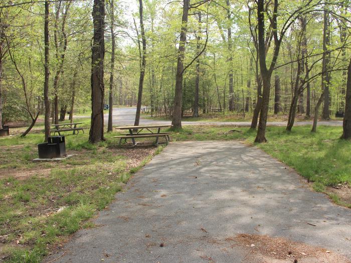 D109  D Loop of the Greenbelt Park Maryland campground