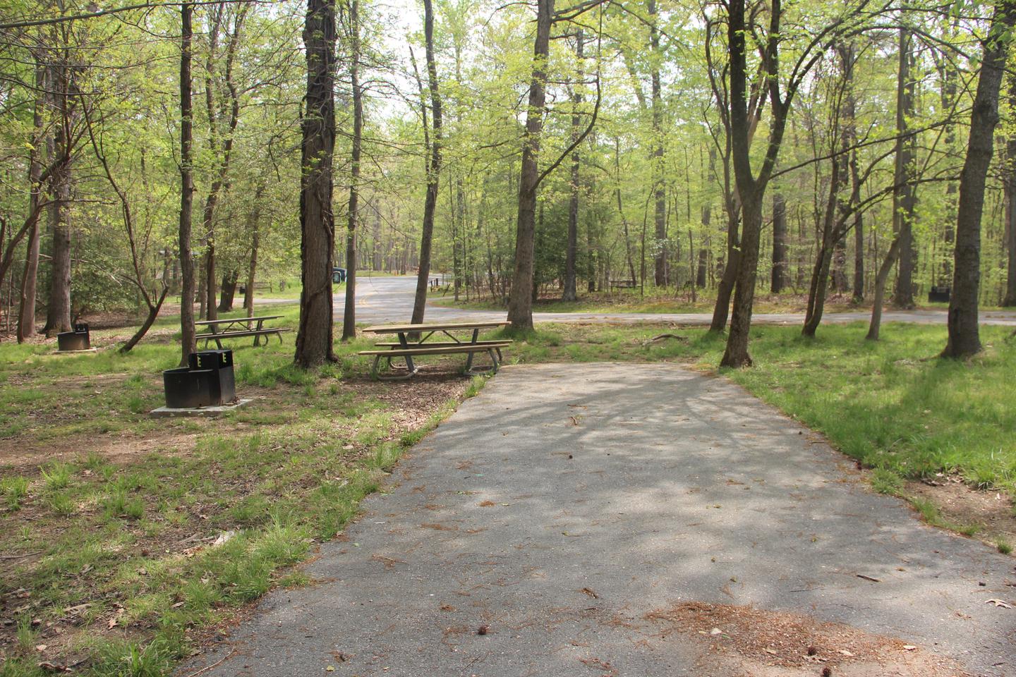 D109  D Loop of the Greenbelt Park Maryland campground