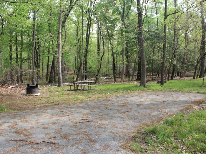 D 111  D Loop of the Greenbelt Park Maryland campground