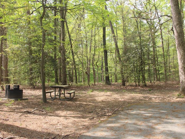 D 113 D Loop of the Greenbelt Park Maryland campground