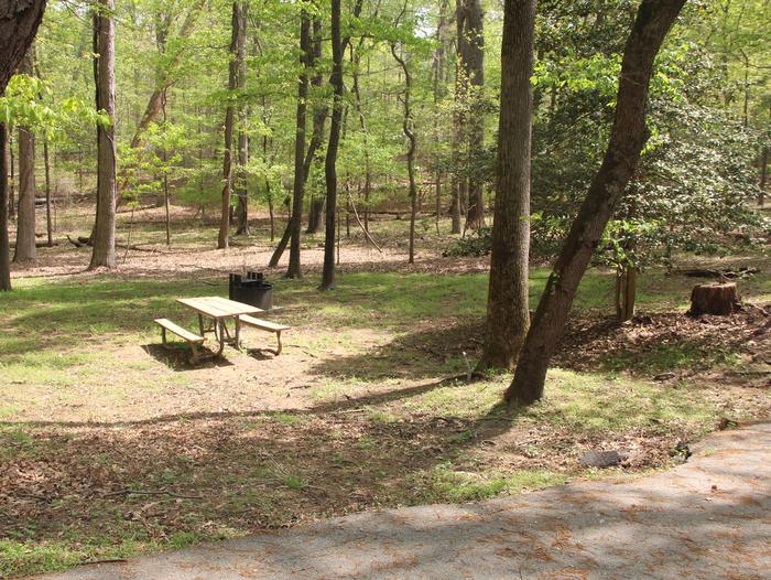 D 114  D Loop of the Greenbelt Park Maryland campground