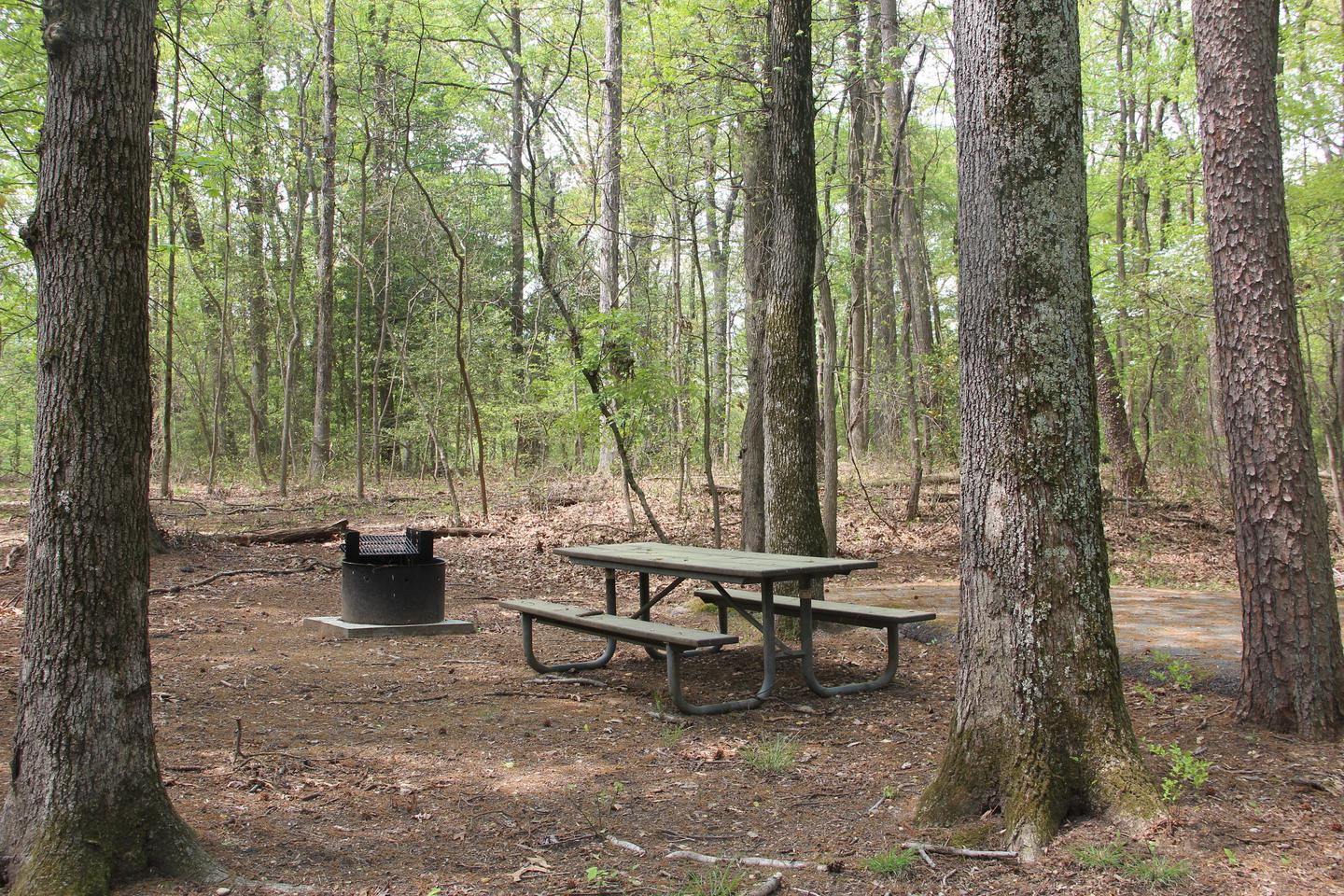 D 115  D Loop of the Greenbelt Park Maryland campground
