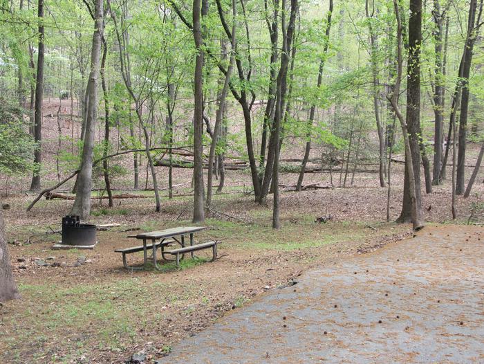 D 116  D Loop of the Greenbelt Park Maryland campground