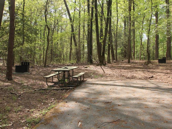 D 117  D Loop of the Greenbelt Park Maryland campground