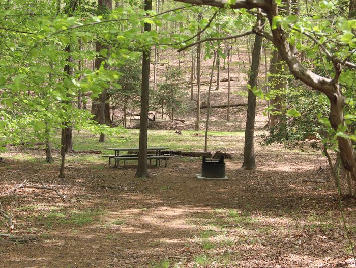 D 119 D Loop of the Greenbelt Park Maryland campground