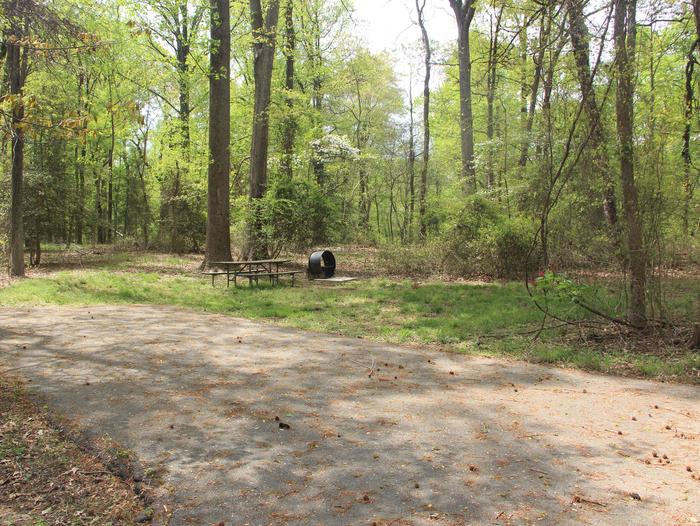 D 122  D Loop of the Greenbelt Park Maryland campground