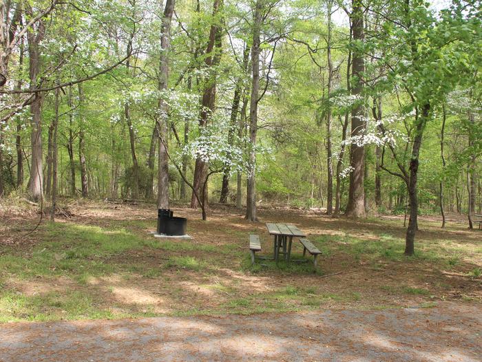 D 123  D Loop of the Greenbelt Park Maryland campground