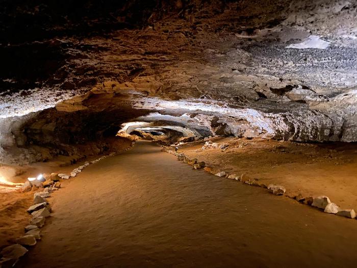 Cleaveland AvenueThe network of cave passages in the Mammoth Cave system stretches over 400 miles.