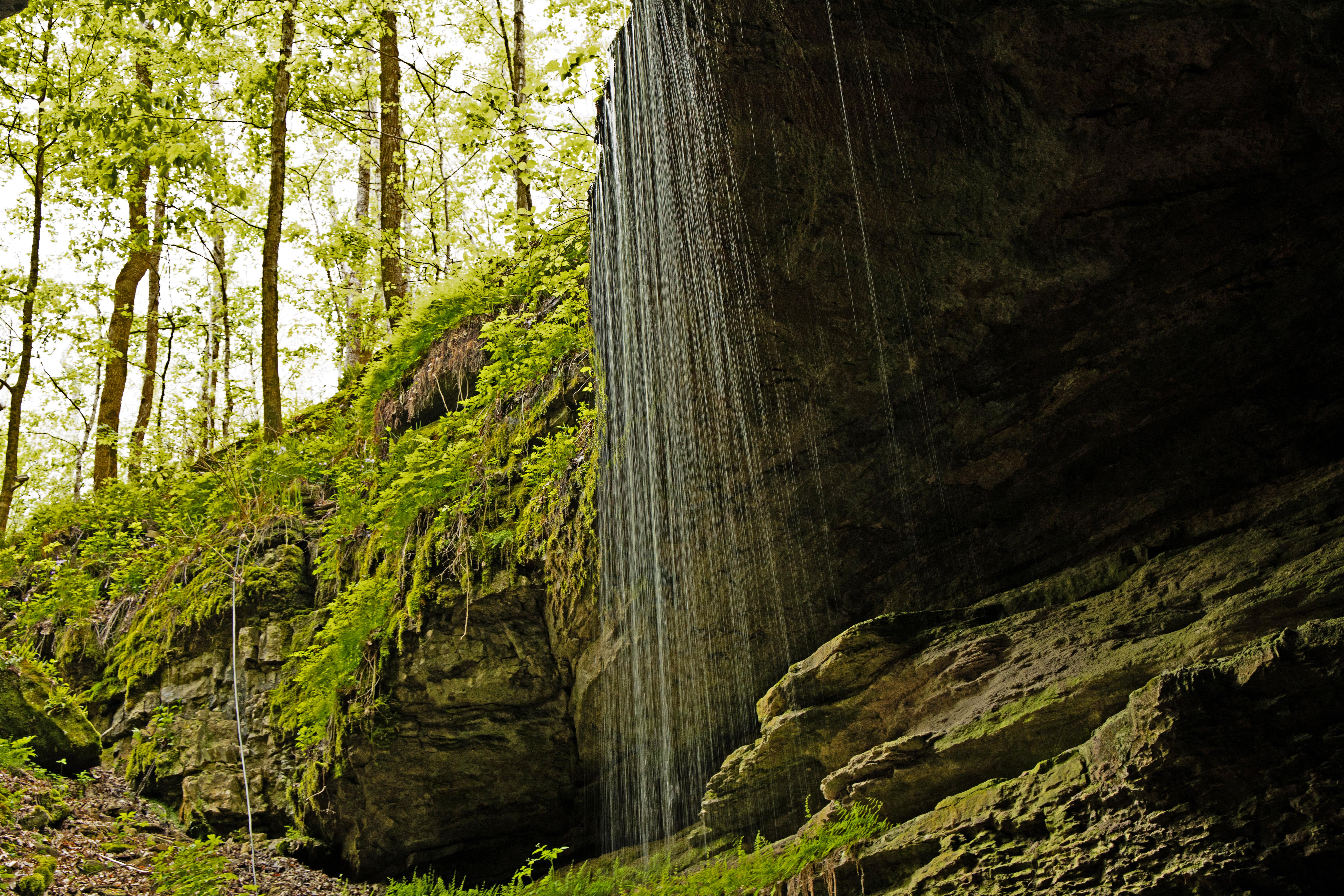 Mammoth Cave National Park - Waterfall at Historic Entrance - Credits: NPS Photo/ Deb Spillman