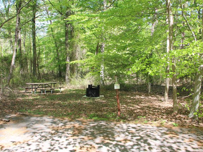 D 127 D Loop Campground Host Greenbelt Park Maryland 