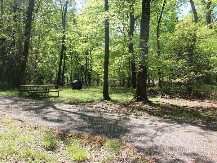 D 130 D Loop of the Greenbelt Park Maryland campground