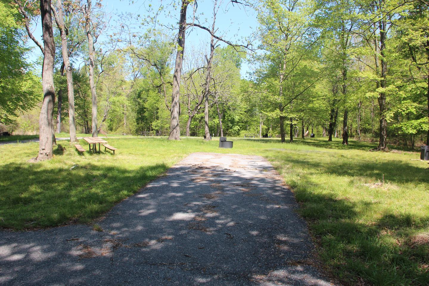 D143 D Loop of the Greenbelt Park Maryland campground