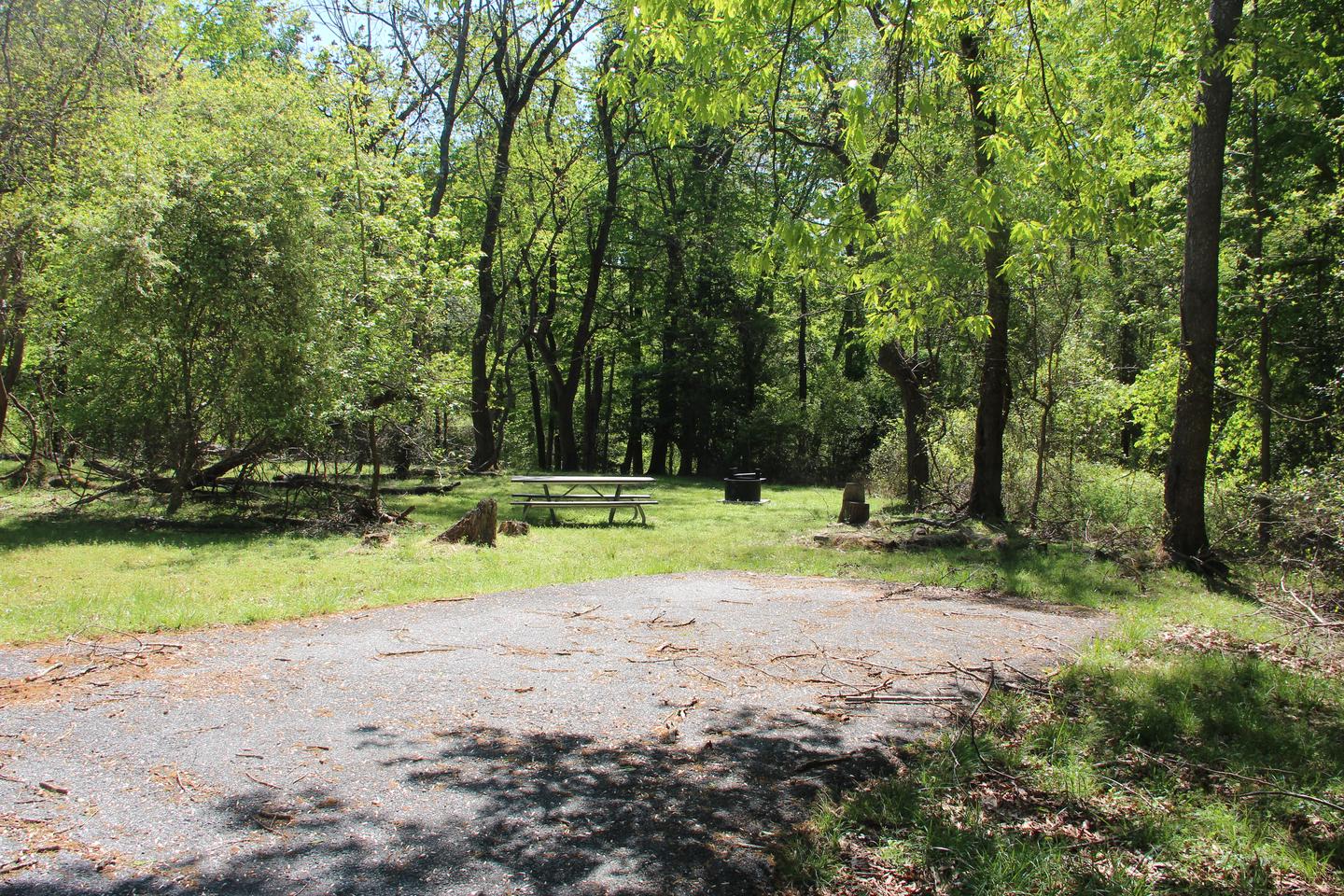 D144 D Loop of the Greenbelt Park Maryland campground