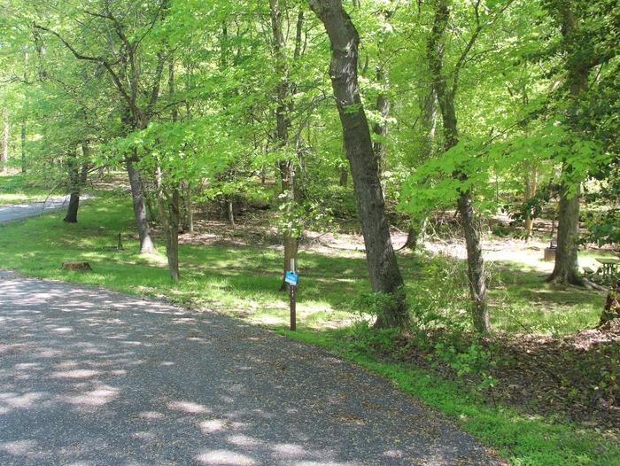 D147 D Loop of the Greenbelt Park Maryland campground