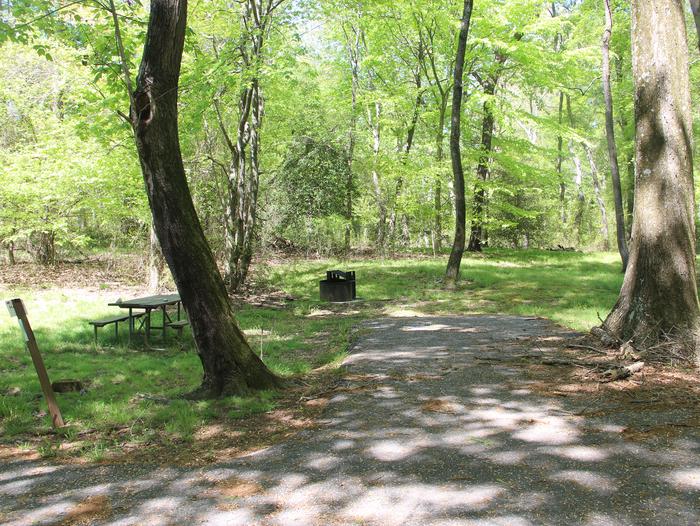 D149 D Loop of the Greenbelt Park Maryland campground