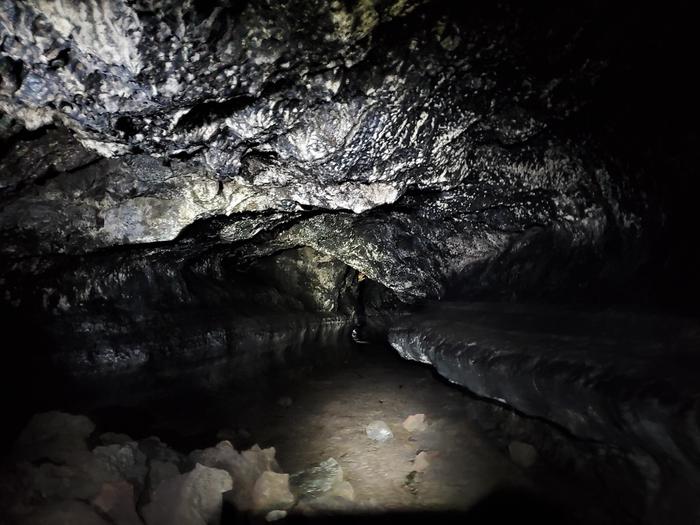 Cave slime is an important part of cave ecosystems. In a photograph it is reflecting bright white in a dark cave, from a hiker's flashlight.Cave slime is an important part of cave ecosystems, shown here reflecting bright white, from a hiker's flashlight on the ceiling of Ape Cave. 